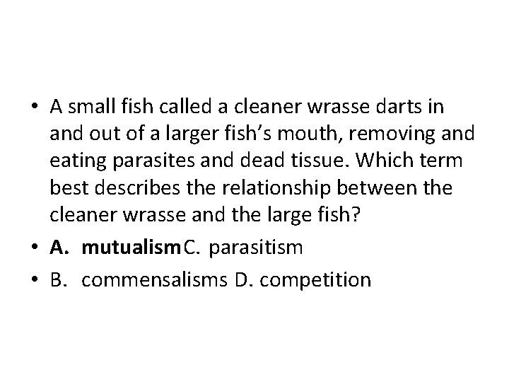  • A small fish called a cleaner wrasse darts in and out of