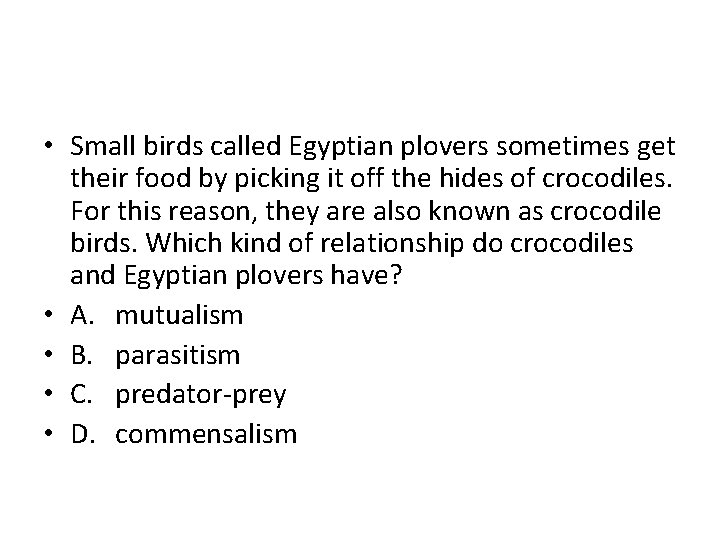  • Small birds called Egyptian plovers sometimes get their food by picking it