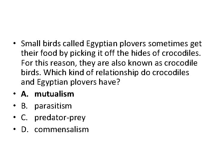  • Small birds called Egyptian plovers sometimes get their food by picking it