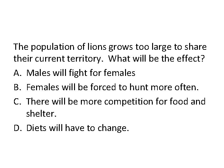 The population of lions grows too large to share their current territory. What will