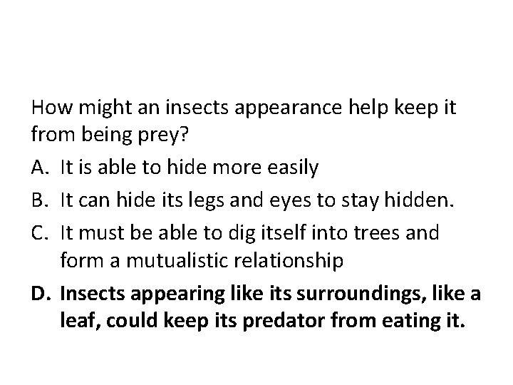 How might an insects appearance help keep it from being prey? A. It is
