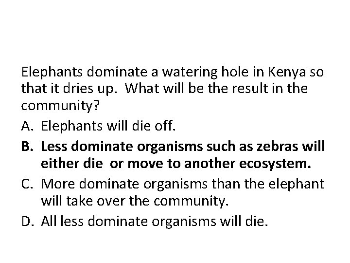 Elephants dominate a watering hole in Kenya so that it dries up. What will