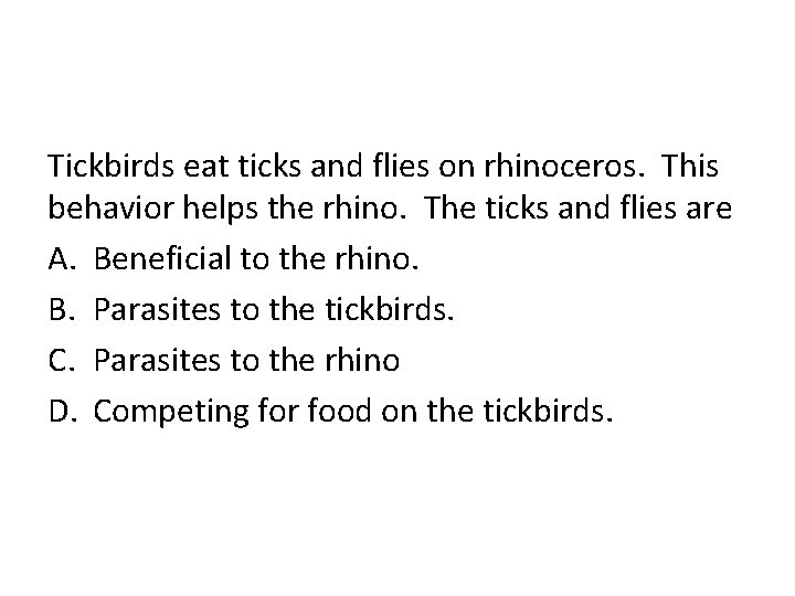 Tickbirds eat ticks and flies on rhinoceros. This behavior helps the rhino. The ticks