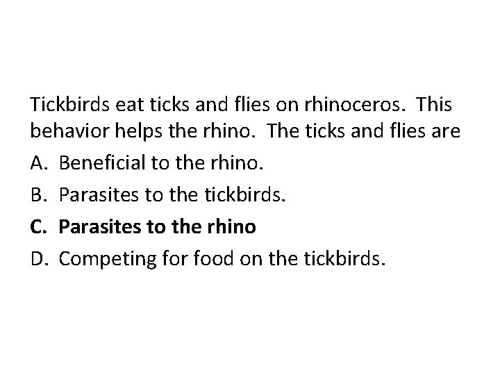 Tickbirds eat ticks and flies on rhinoceros. This behavior helps the rhino. The ticks