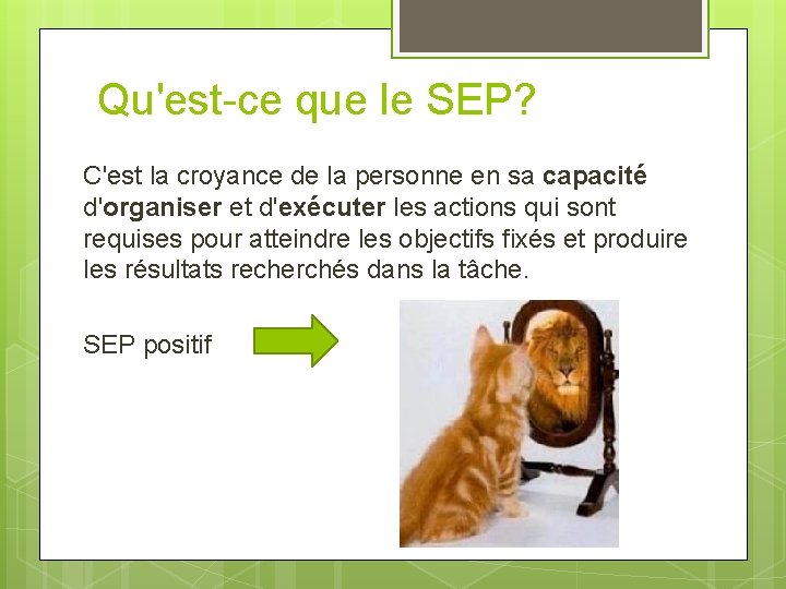 Qu'est-ce que le SEP? C'est la croyance de la personne en sa capacité d'organiser