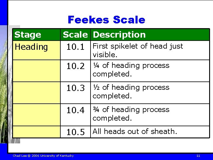 Feekes Scale Stage Heading Scale Description 10. 1 First spikelet of head just 10.