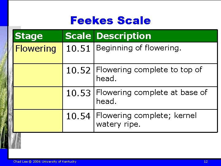 Feekes Scale Stage Flowering Scale Description 10. 51 Beginning of flowering. 10. 52 Flowering