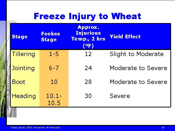 Freeze Injury to Wheat Stage Feekes Stage Approx. Injurious Temp. , 2 hrs Yield