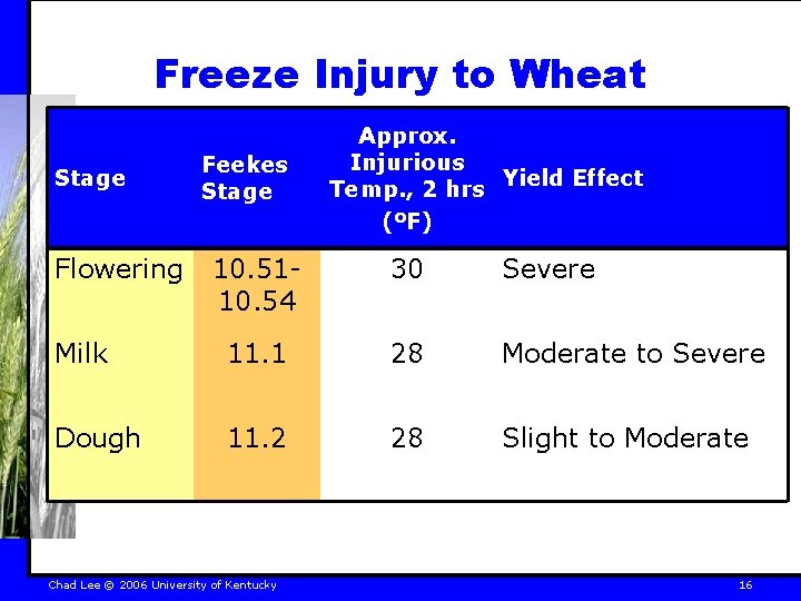 Freeze Injury to Wheat Stage Flowering Feekes Stage Approx. Injurious Temp. , 2 hrs