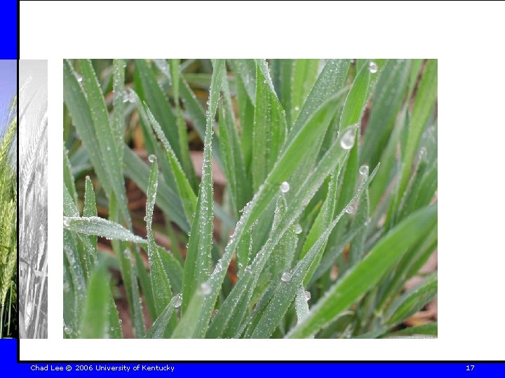 Chad Lee © 2006 University of Kentucky 17 