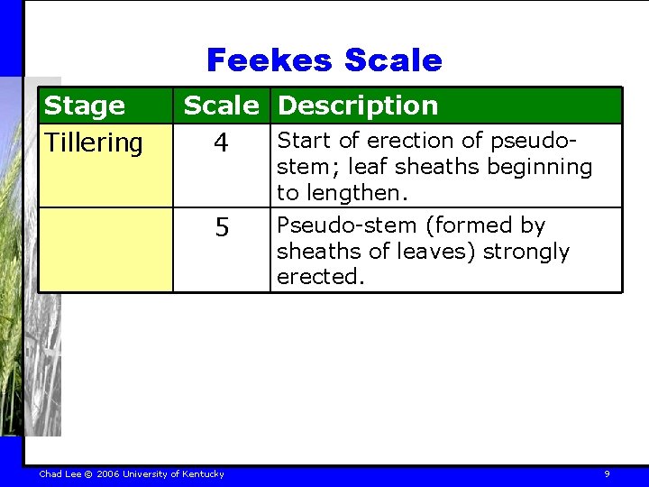 Feekes Scale Stage Tillering Scale Description Start of erection of pseudo 4 5 Chad