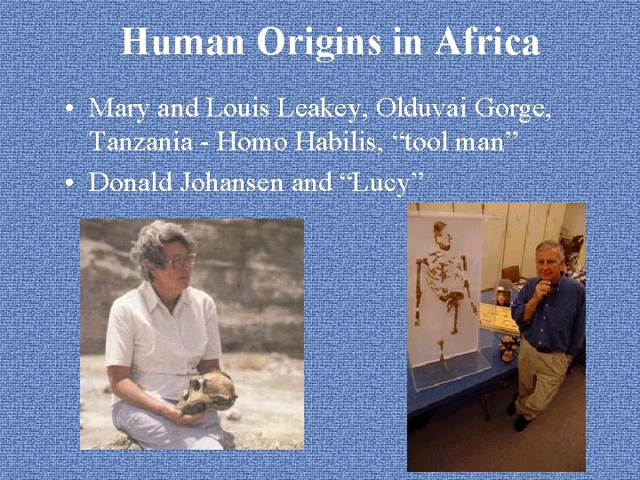Human Origins in Africa • Mary and Louis Leakey, Olduvai Gorge, Tanzania - Homo