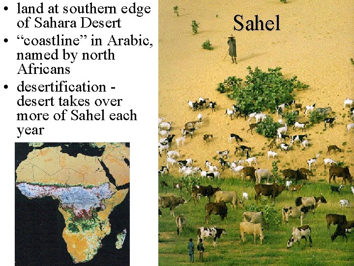  • land at southern edge of Sahara Desert • “coastline” in Arabic, named