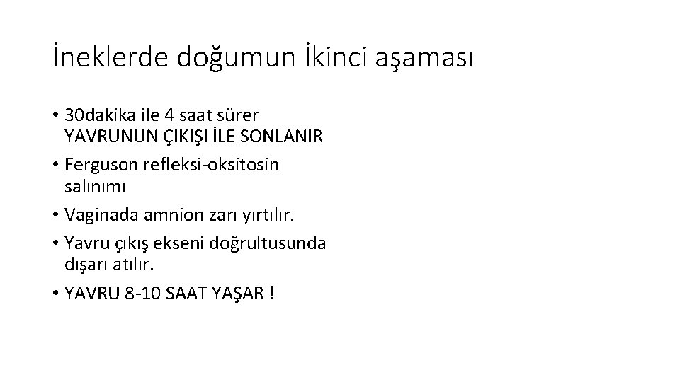 İneklerde doğumun İkinci aşaması • 30 dakika ile 4 saat sürer YAVRUNUN ÇIKIŞI İLE