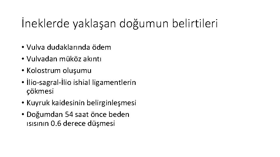 İneklerde yaklaşan doğumun belirtileri • Vulva dudaklarında ödem • Vulvadan müköz akıntı • Kolostrum