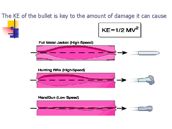 The KE of the bullet is key to the amount of damage it can