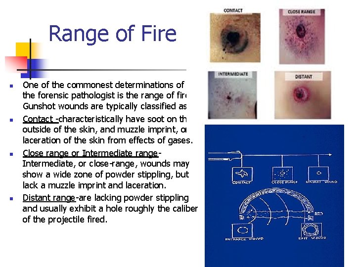 Range of Fire n n One of the commonest determinations of the forensic pathologist