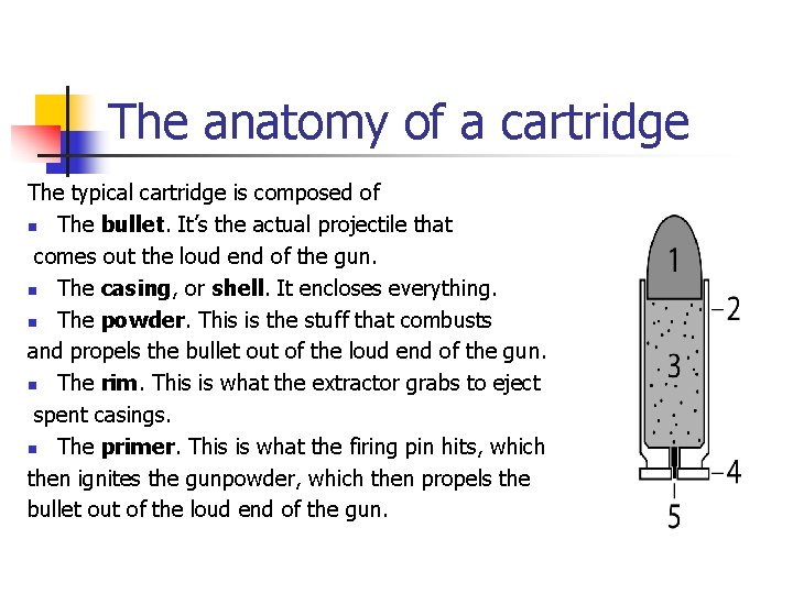 The anatomy of a cartridge The typical cartridge is composed of n The bullet.