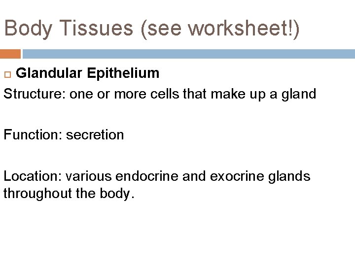 Body Tissues (see worksheet!) Glandular Epithelium Structure: one or more cells that make up