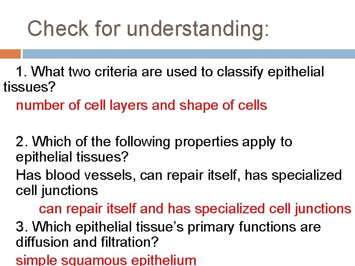 Check for understanding: 1. What two criteria are used to classify epithelial tissues? number