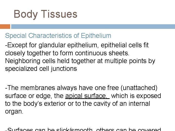 Body Tissues Special Characteristics of Epithelium -Except for glandular epithelium, epithelial cells fit closely