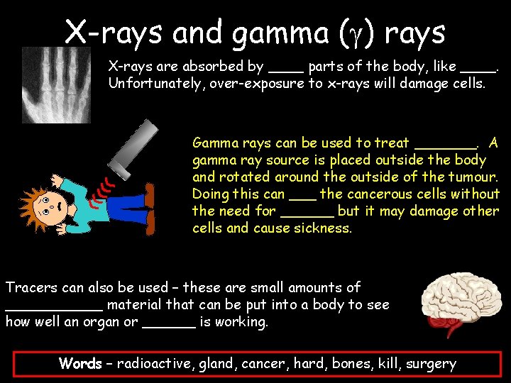 X-rays and gamma ( ) rays X-rays are absorbed by ____ parts of the