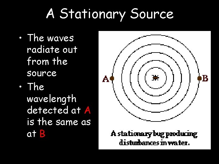 A Stationary Source • The waves radiate out from the source • The wavelength