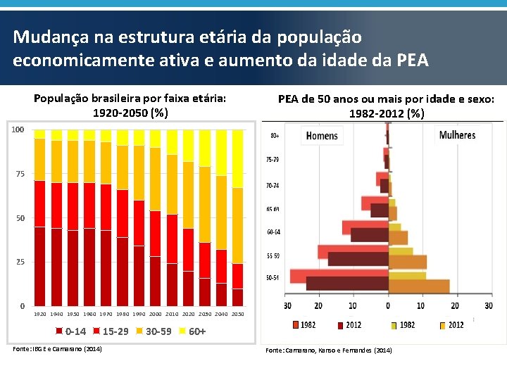 Mudança na estrutura etária da população economicamente ativa e aumento da idade da PEA