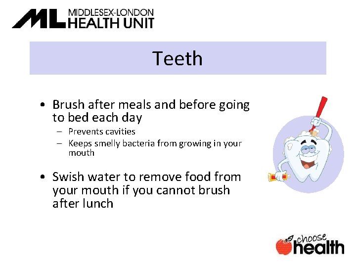 Teeth • Brush after meals and before going to bed each day – Prevents