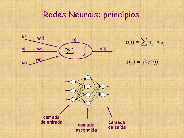 Redes Neurais: princípios s 1 w 1 i sj wji sn e(i) ó õ