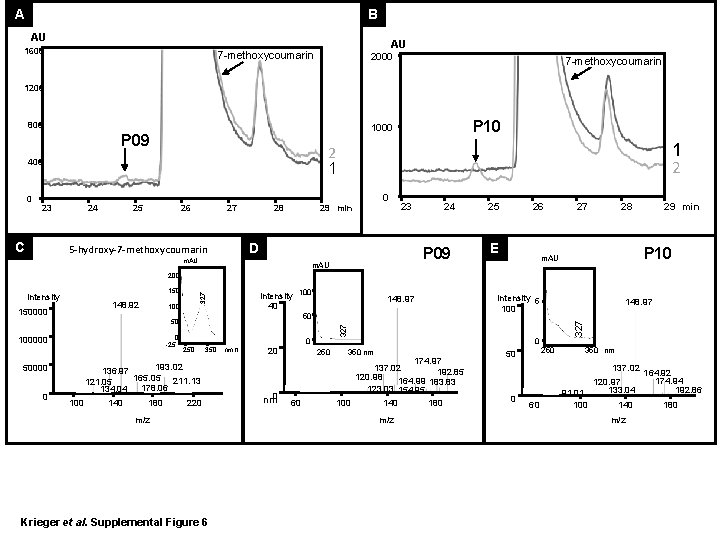 A B AU 1600 AU 7 -methoxycoumarin 2000 7 -methoxycoumarin 1200 800 P 09