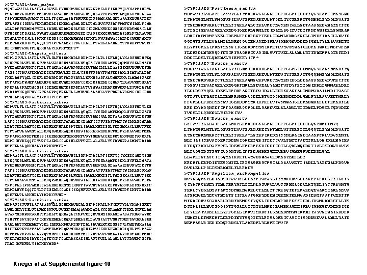 >CYP 71 AZ 1 -Ammi_majus MQMDAVVILLILAFPIASVYVLFYHKKRVDGLSEPPGPPGLPFIGNFYQLYKAPCIHEYL CTLSKRYGSLMTLRMGSVPILVVSSPKMAKEVLKTQDLAYCSRPMMTGMQKLSYNGLDVA FSPYSEHWRQVRKFCTLELFTQKRAQIDFRHVHEQEVSRMIARLSETAAASKDVNAFECF SNLATSIISRVAFGKRHDEDGIGKERLQRMLSELDTMLSVYFVSDFFPMFGWIDSLTGMR ARLDRTFKEMDMFYEELIDDHLKPDRPESLTEDIIDVMLKNKGCSSSSLTKDTMKAILLN VFNGGTGTSASLLVWAMTALMRNRGVMKKVQEEIRSVIGKKGNVDEDDIQNLPYLRAVVK ETMRLYPTGALLIPRKTIESSIIGEDKDHMYMIKPKTLVYVSMWAIGRDPEIWKNPMKFV PERFLERHDINYQGQQFEYIPFGAGRRICPGIHLGLTTVELALANLLYTFNWEPPVGTRF EDINDETVNGITLQKKNALYIRPKTYMFS*