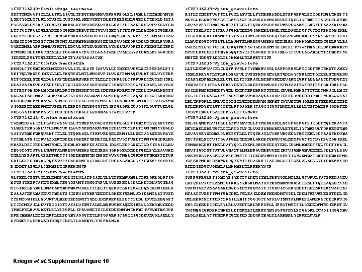 >CYP 71 AZ 10 -Cimicifuga_racemosa SDSTFMEVVFIFLLLAFPLAIVYLFPKQTKNGKKVSPPGPPGLPLIGNLLQEFNHDYMYK LSKQYGELMSLRLGTVPTLIVSSAKLAKEVYKTQDLNFSNRPNHLGQKTLSYNGLDIAFA PYGEYWREMRKFGTLHLFTNKRALSFRPVREEEVSRLLNAISNIAASPSGLVDVSEVTLN LTSSVISRVAFGRRYDEDGIGKEKFKRVFTESQYVISKFYFSDYFPMLDWIDKISGMKAR LSKSFRDLDLFYQQLIDEHLKPDRRDSAVEDVIDILLNQMGNTEPSPSTFSINMENIKAV LMNIFIGGTDSSSSTMIGSMTALMRNPKAMKKAQEEVRSVVGNKGRVDEVDIPHLPYVRA VVKESMRLYPPFMMLVPRETLEDCVLGTYEVKAKTLVYVNAWAVGRDPEAWEKPLEFKPE RFMERPDLDFKGQHFELLPFGGGRRGCPGITLGAAIVELTVANLLYAFDWELPPGVKIEE IDDEMLPGLTMQRKNKLYLRPTPYAAYAAAACAK
