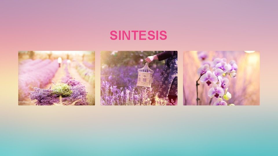 SINTESIS 