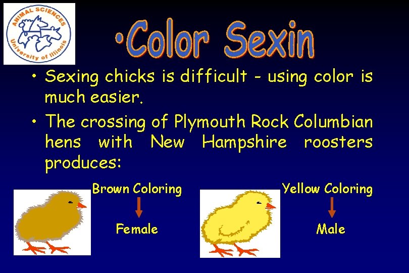  • Sexing chicks is difficult - using color is much easier. • The