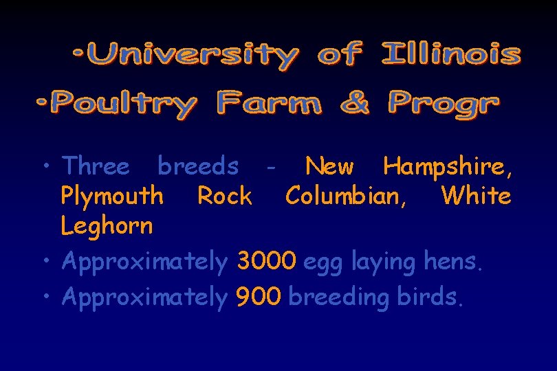  • Three breeds - New Hampshire, Plymouth Rock Columbian, White Leghorn • Approximately