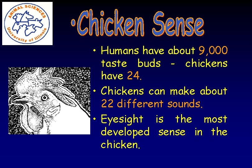  • Humans have about 9, 000 taste buds - chickens have 24. •