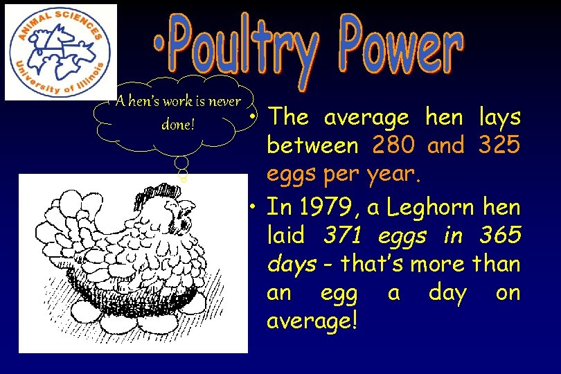 A hen’s work is never done! • The average hen lays between 280 and