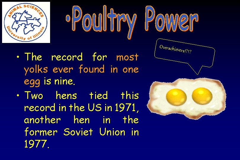  • The record for most yolks ever found in one egg is nine.