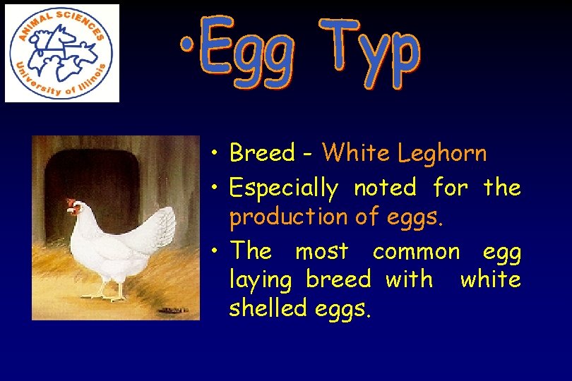  • Breed - White Leghorn • Especially noted for the production of eggs.