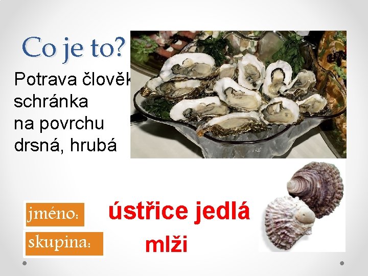 Co je to? Potrava člověka, schránka na povrchu drsná, hrubá jméno: skupina: ústřice jedlá