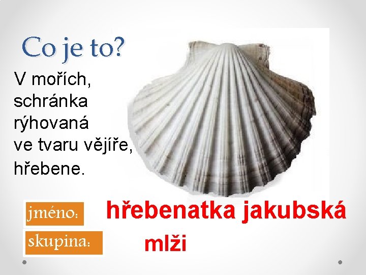 Co je to? V mořích, schránka rýhovaná ve tvaru vějíře, hřebene. jméno: skupina: hřebenatka