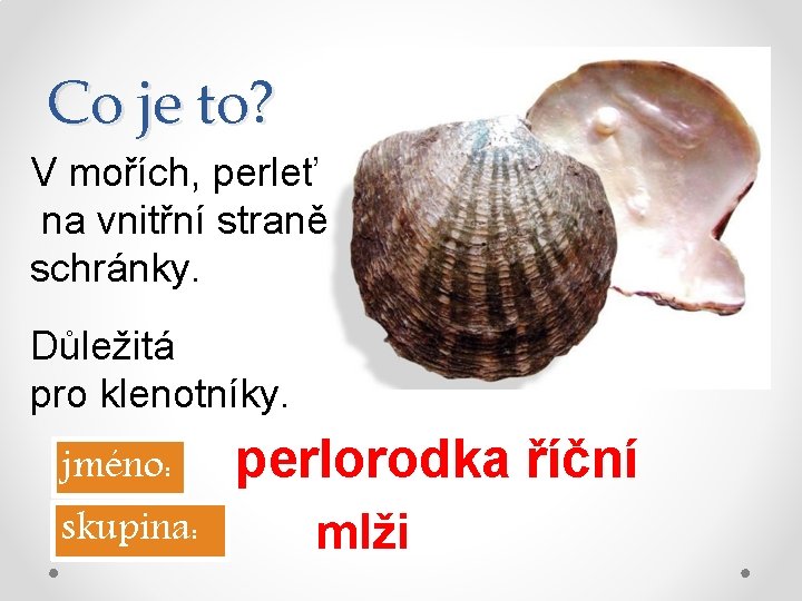 Co je to? V mořích, perleť na vnitřní straně schránky. Důležitá pro klenotníky. jméno: