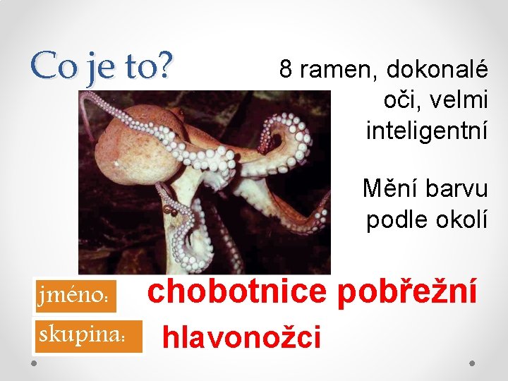 Co je to? 8 ramen, dokonalé oči, velmi inteligentní Mění barvu podle okolí jméno: