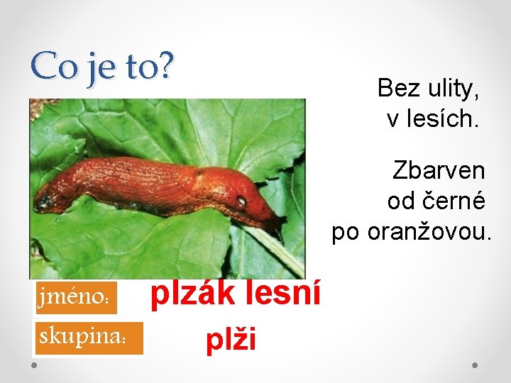 Co je to? Bez ulity, v lesích. Zbarven od černé po oranžovou. jméno: skupina: