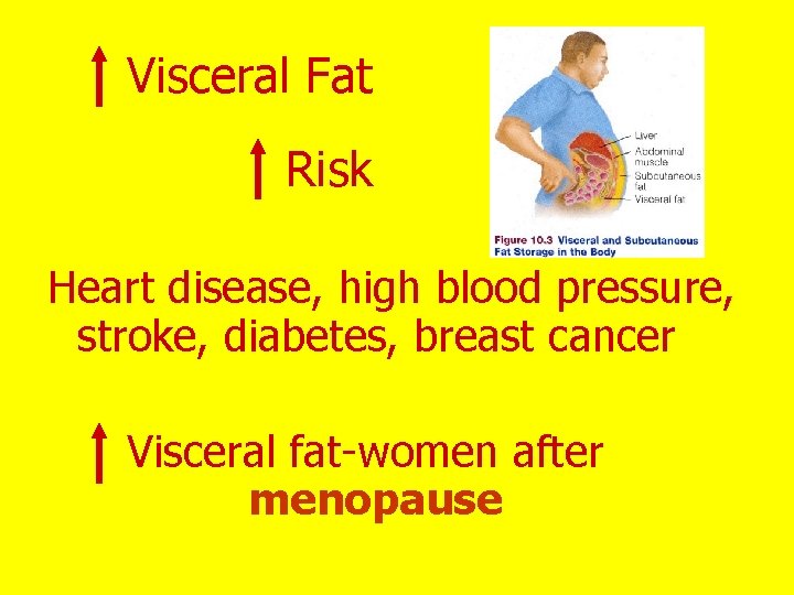 Visceral Fat Risk Heart disease, high blood pressure, stroke, diabetes, breast cancer Visceral fat-women