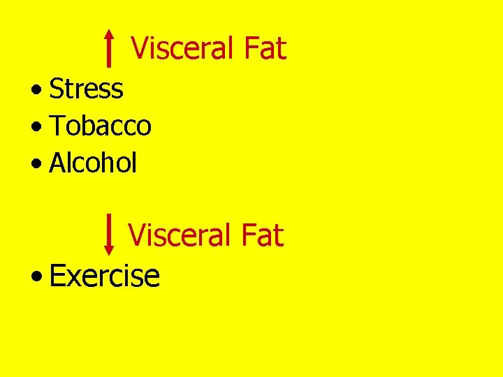 Visceral Fat • Stress • Tobacco • Alcohol Visceral Fat • Exercise 