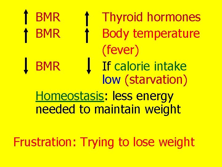 BMR Thyroid hormones Body temperature (fever) BMR If calorie intake low (starvation) Homeostasis: less