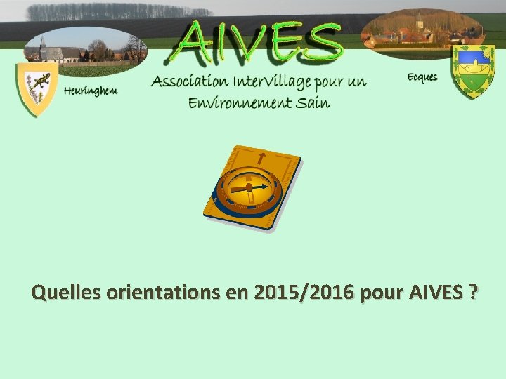 Quelles orientations en 2015/2016 pour AIVES ? 