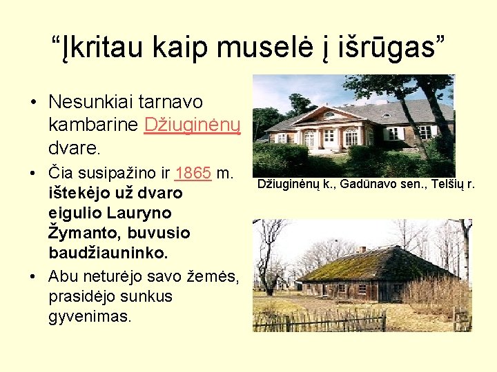 “Įkritau kaip muselė į išrūgas” • Nesunkiai tarnavo kambarine Džiuginėnų dvare. • Čia susipažino